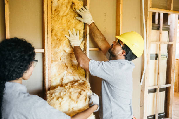 Best Insulation Repair Services  in Fort Hunt, VA