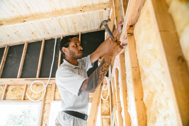 Best Insulation Installation Cost  in Fort Hunt, VA