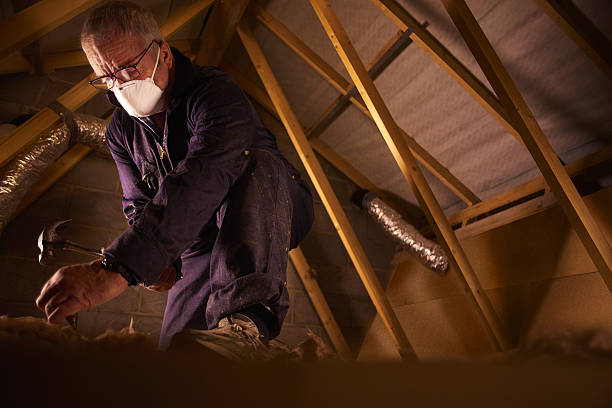 Best Fiberglass Insulation  in Fort Hunt, VA