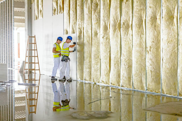 Best Wall Insulation Contractor  in Fort Hunt, VA
